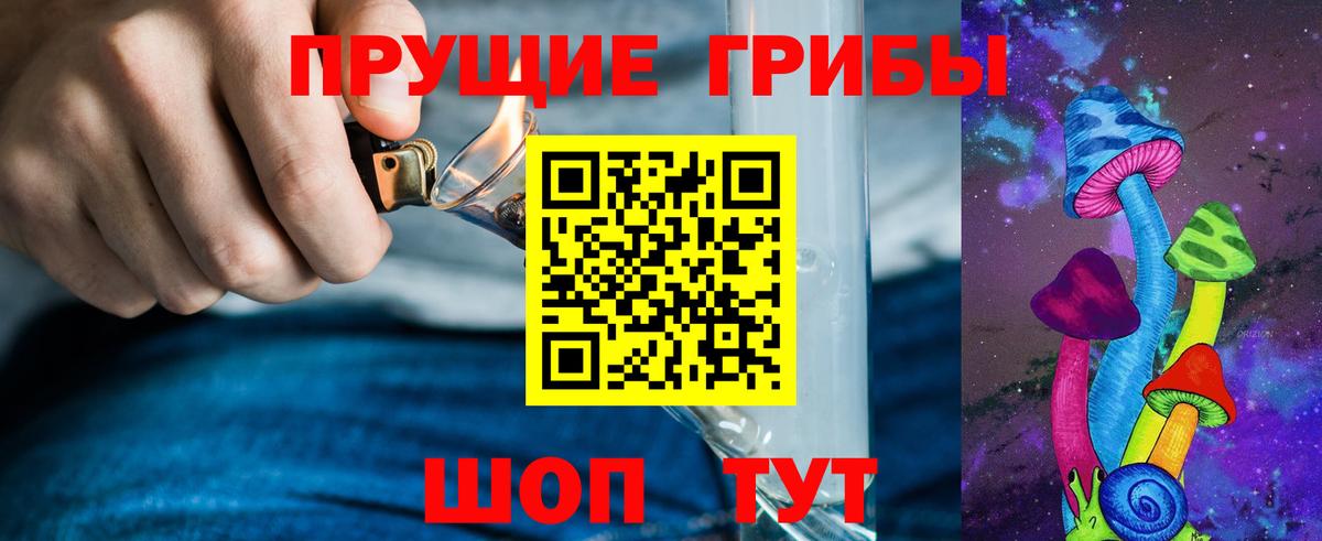 Псилоцибиновые грибы прущие грибы  Балабаново 