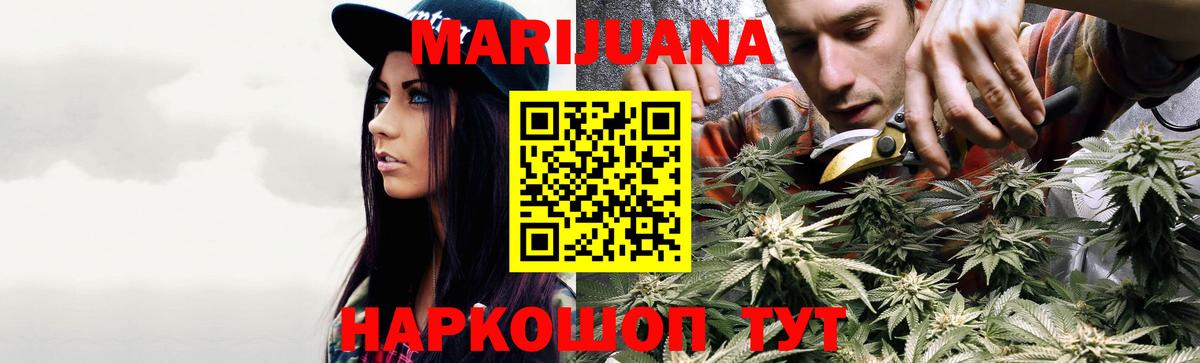 Бошки марихуана сатива Балабаново